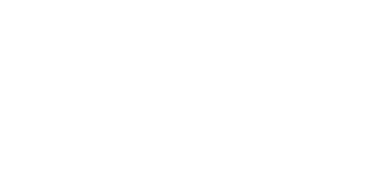 DWD Studios logo